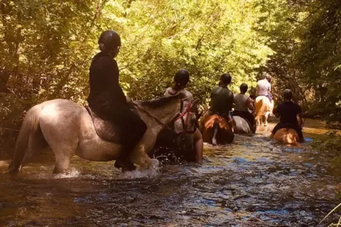 Marmaris horse safari adventure in nature