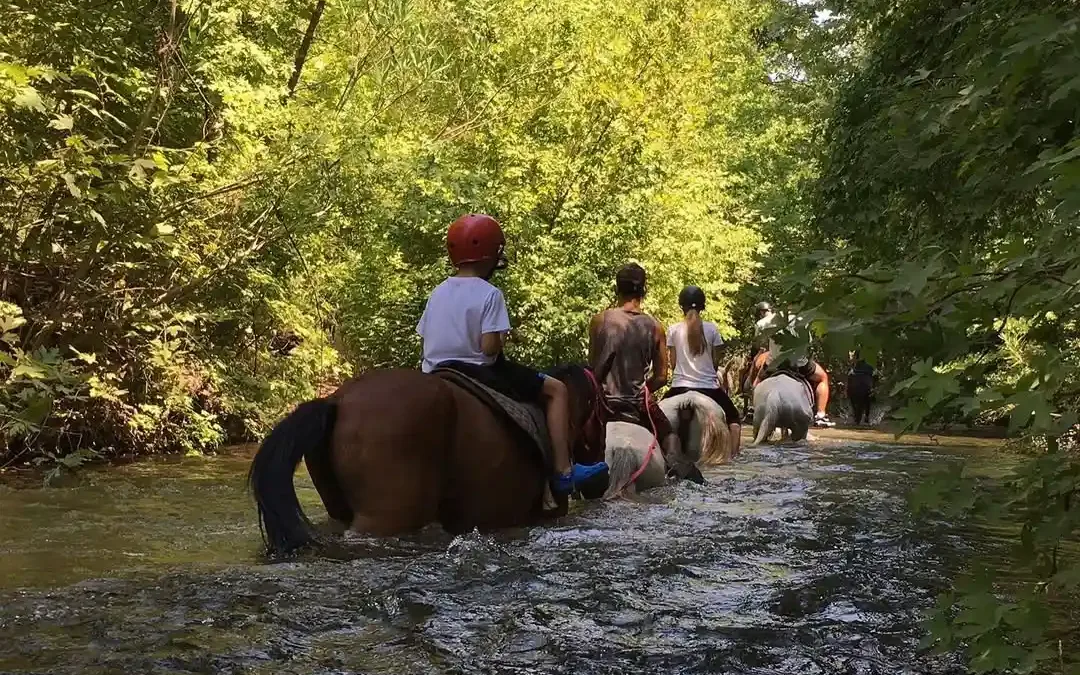 Marmaris Horse Safari