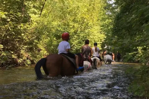 Marmaris horse safari through river